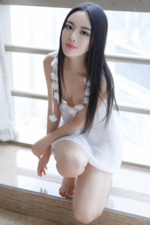 继承之战 第四季 电视剧