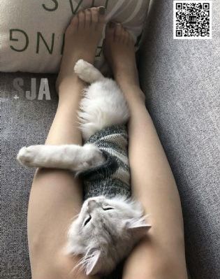 金珍善角色的扮演电影