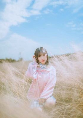 黄金大劫案演员表